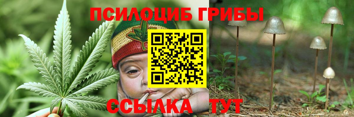 Псилоцибиновые грибы MAGIC MUSHROOMS Дзержинский
